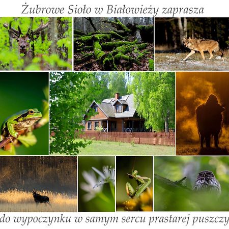 Apartament Jasinskiego Z Ogrodem Piaseczno  Bagian luar foto