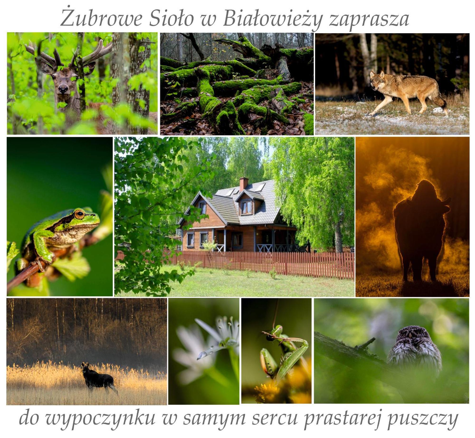 Apartament Jasinskiego Z Ogrodem Piaseczno  Bagian luar foto